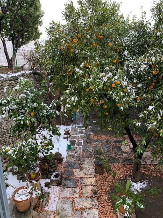 Dimora Le Zagare Apartment Ostuni Exterior photo